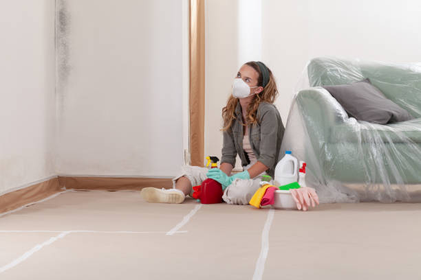 Reliable Mold Removal contractor in West Palm Beach, FL by WQB Mold Removal